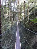 17 Taman Negara Penang Park-Canopy